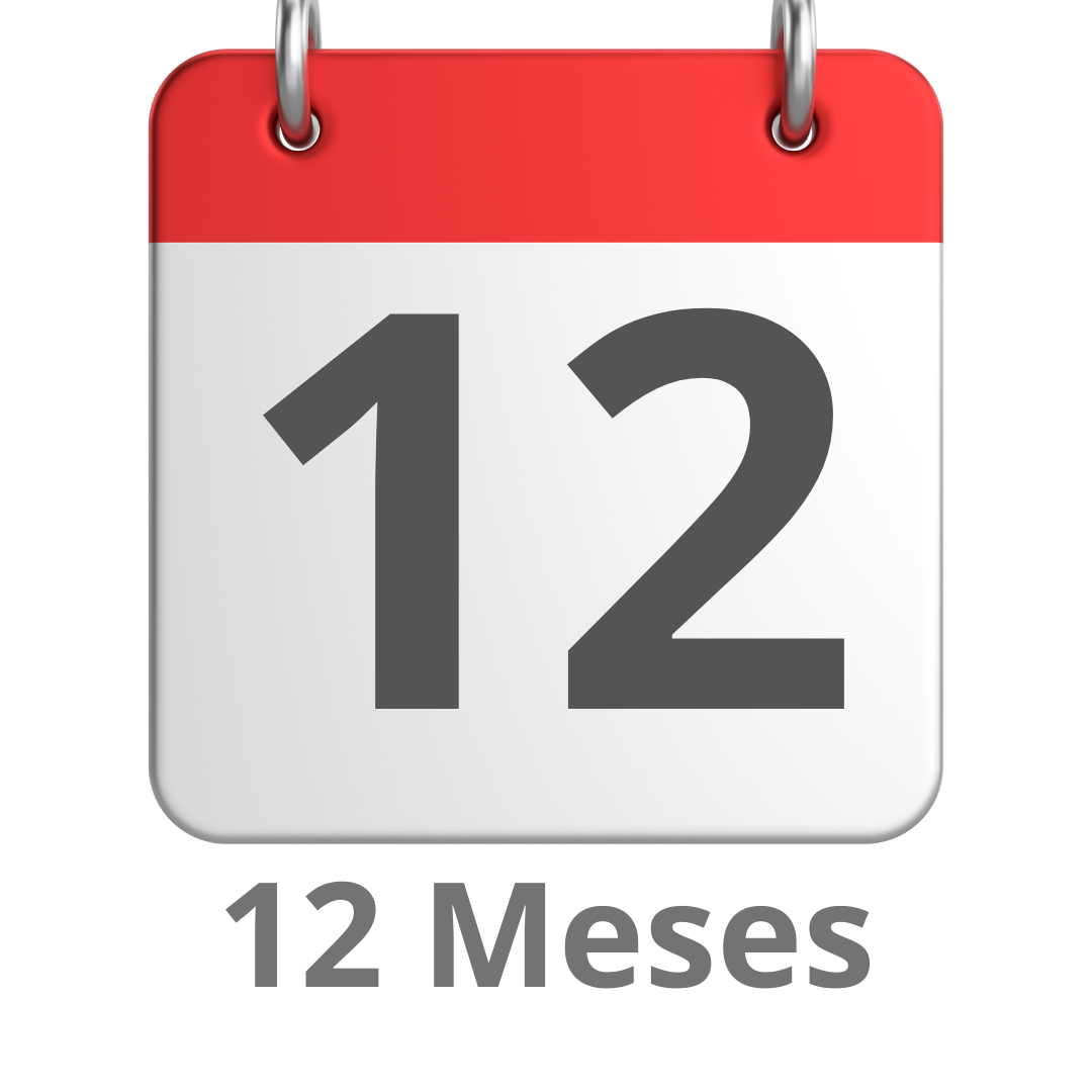 12 meses