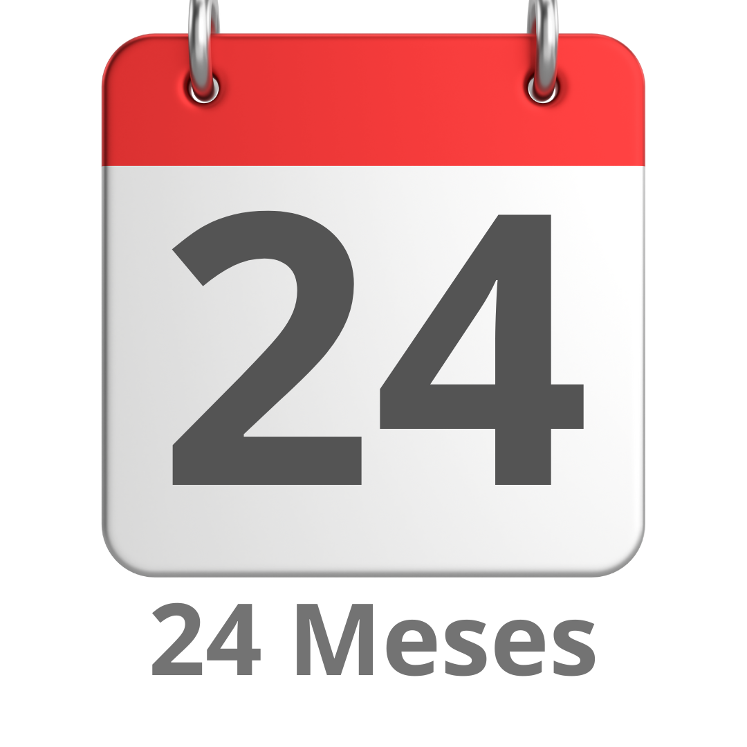 24 meses